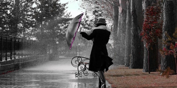 1920x1080 Spring Rain Wallpaper HD 1920x1080