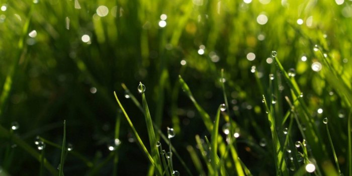 1920x1080 Spring Rain Wallpaper Background | Natures Wallpapers | Rain