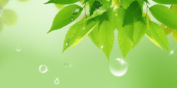 1920x1080 Spring Rain Wallpaper For Desktop, 2018