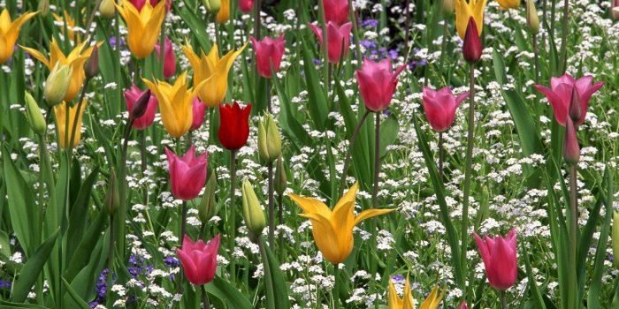 1600x1200 Spring Rain | BUZZERG