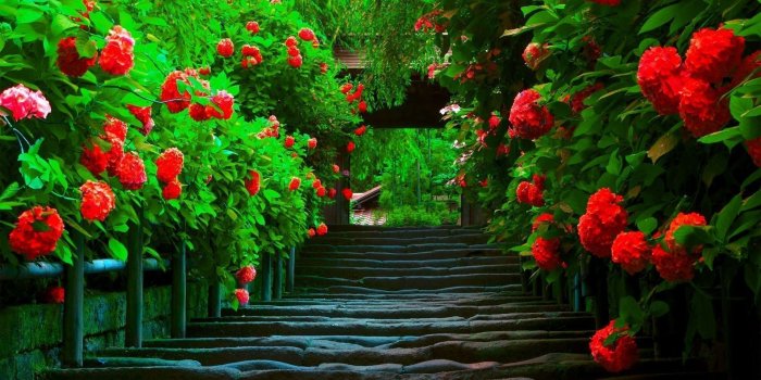 1920x1080 Spring Wallpapers HD (85+ background pictures)