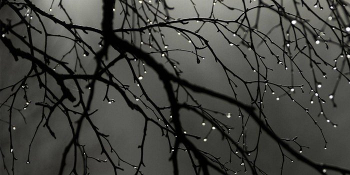 1440x1280 Spring Season Rain Wallpaper by 000Faizan_Ahmad000 - ce - Free on ZEDGE™