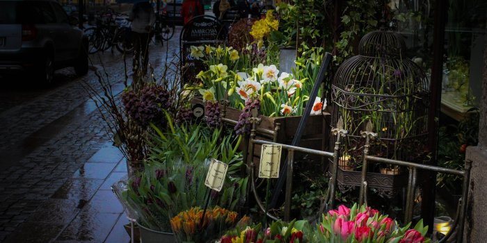 3840x2160 Not the best Spring Weather ❤ 4K HD Desktop Wallpaper for 4K Ultra