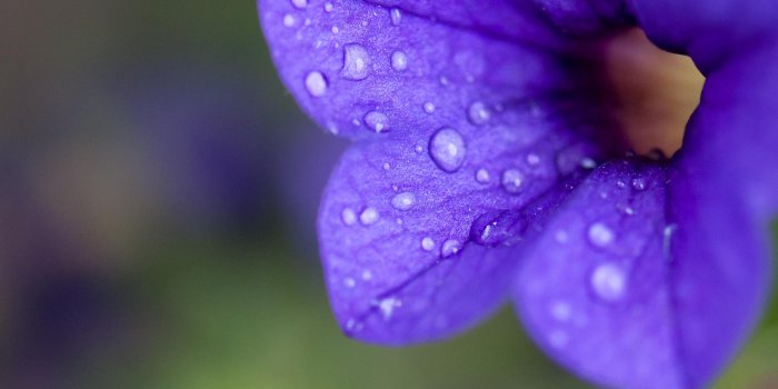 3436x2454 Spring Rains - Her View From Home