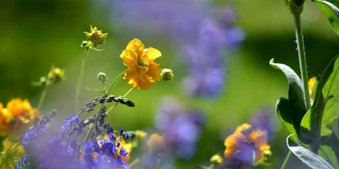 1714x1143 2865691 spring flowers rain fresh wallpaper and background | Nature