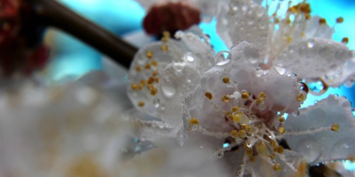 1920x1280 Desktop wallpaper wallpapers for spring rain desktop wallpaper № 29897