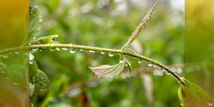 5120x2880 Spring Rain ❤ 4K HD Desktop Wallpaper for 4K Ultra HD TV • Dual