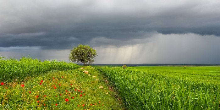 2048x1152 Spring rain in central Turkey : wallpapers