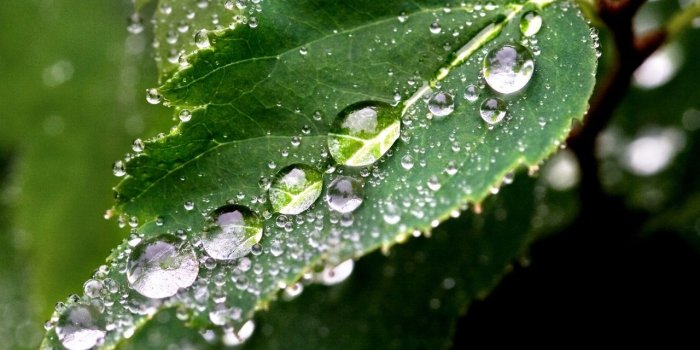 1280x1024 Spring Rain Wallpaper For Desktop - 1280x1024 px | 2018