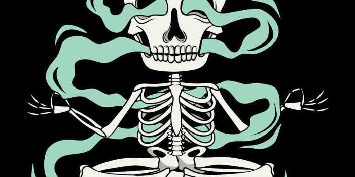 1080x1920 Colorful Skull Roses Space iPhone 6 Wallpaper Beautiful Black Rose