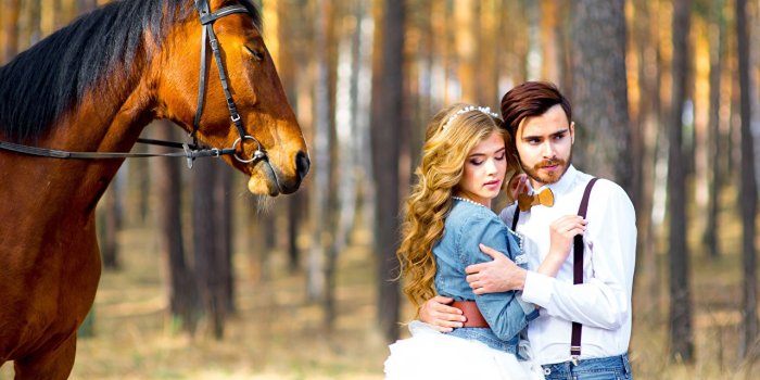 1280x853 Desktop Wallpapers young woman grooms Horses Bride marriage Blonde