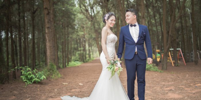 3138x2225 Wedding Couples Between Tall Trees - Free Stock Photo, Image