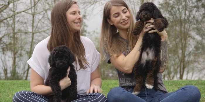 1920x1080 Baby Ruth Puppies (1)