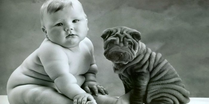 1920x1200 Anne Geddes Christmas Babies Wallpaper (64+ images)