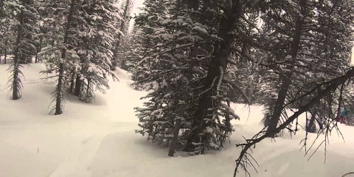 1920x1080 Baby Ruth Gulley Snowmass