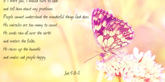 1533x958 47 Best Cheer Up Quotes With Images