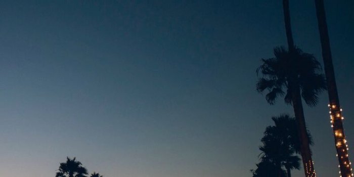 736x1104 cali palm trees and a sunset | Travel | Iphone wallpaper, Nature