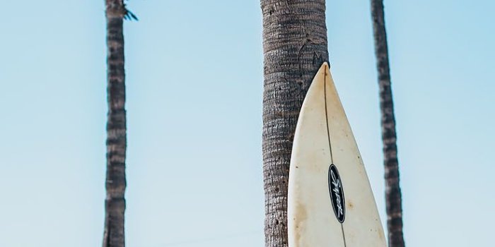 736x1308 20 Beautiful Los Angeles iPhone X Wallpapers | Preppy Wallpapers