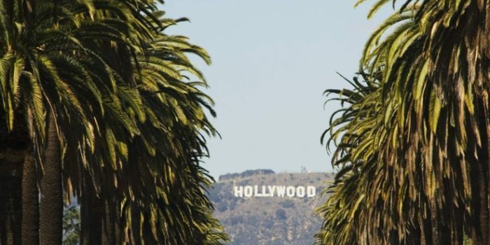 736x1107 Hollywood California iPhone Wallpapers - Top Free Hollywood