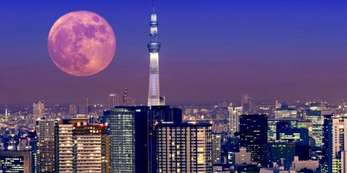 1243x721 Tokyo Moon At Night Wallpaper Desktop | Find Wallpapers