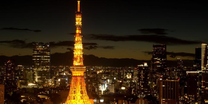 2048x1536 Cityscape, Tokyo Tower, Museum, Skyline, Night Wallpaper for IPad