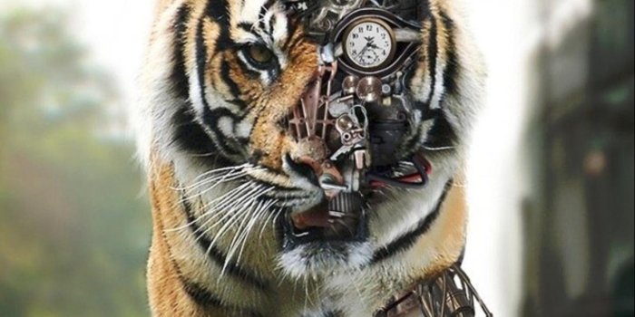 1242x2208 Mobile Phone background image 119 PyAx6qZ HD Smartphone Wallpaper