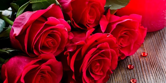 2560x1600 roses bouquet hd wallpaper Rose Wallpaper Pinterest - 1 Wallpaper