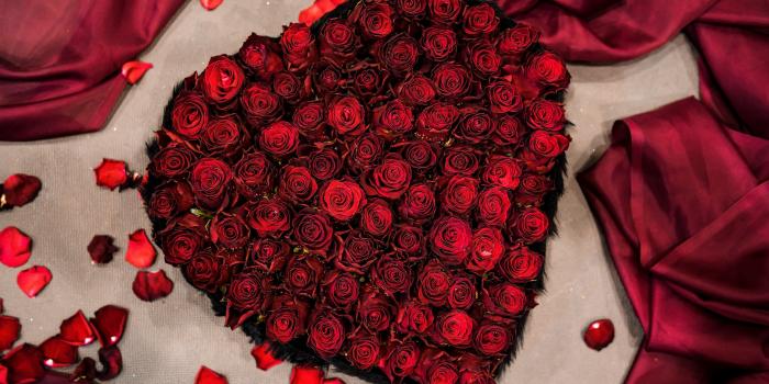 1920x1200 Love Rose pic HD wallpaper | Latest Wallpapers HD