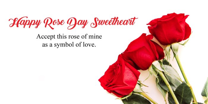1920x1080 7th Feb Rose Day Wallpaper HD | All Color of Roses for Lover & Friends
