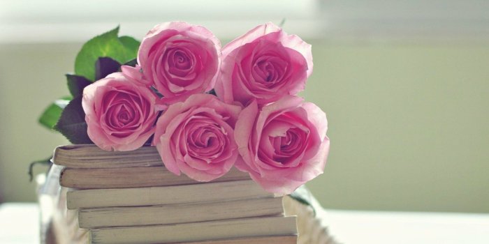 1920x1080 Full Hd 1080p Pink Rose Wallpaper - Rose Wallpaper Of Books And