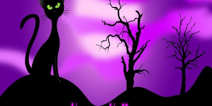 1140x1013 Happy Halloween Wallpaper | Halloween | Halloween backgrounds
