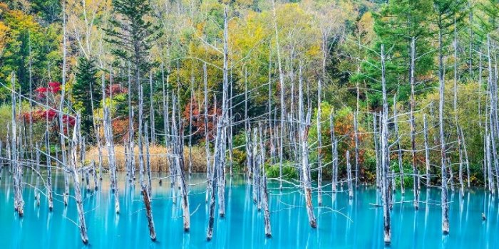 1200x800 Blue pond Biei, Hokkaido, A Mac wallpaper｜ZEKKEI Japan