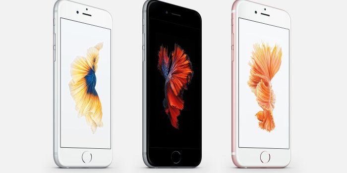 3570x3000 Apple Betta Fish Wallpapers by JasonZigrino