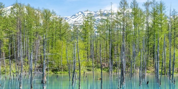 1200x800 Blue pond Biei, Hokkaido, A Mac wallpaper｜ZEKKEI Japan