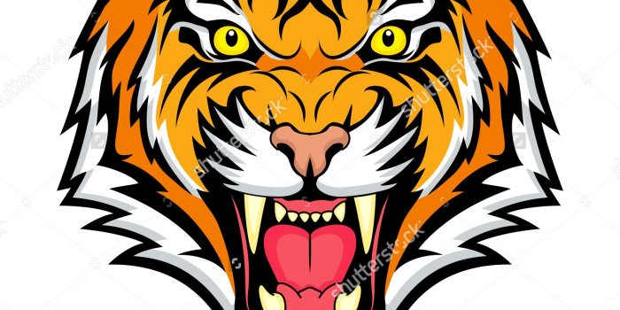 1500x1600 CLIPART WALLPAPER BLINK - Drawn Tiger vector 4 - 1500 X 1600 for