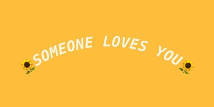 720x1279 Cute Wallpaper: Something positive for when you look at your phone