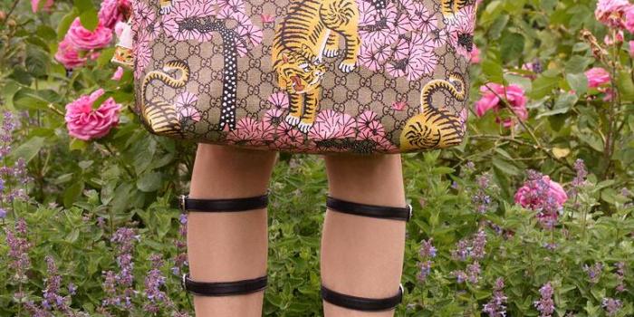 768x1075 Gucci Bengal - Gucci Stories