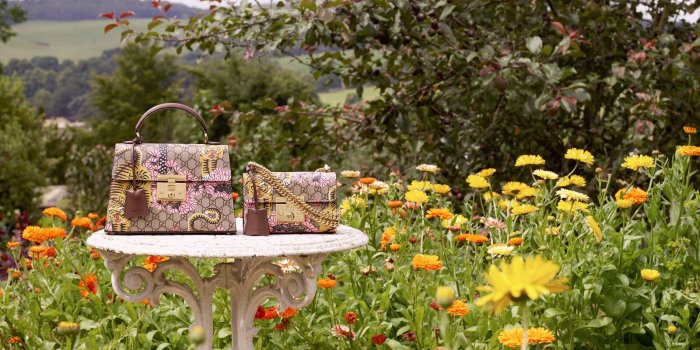 1600x812 Gucci Bengal - Gucci Stories