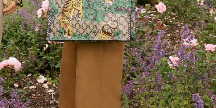 768x1075 Gucci Bengal - Gucci Stories