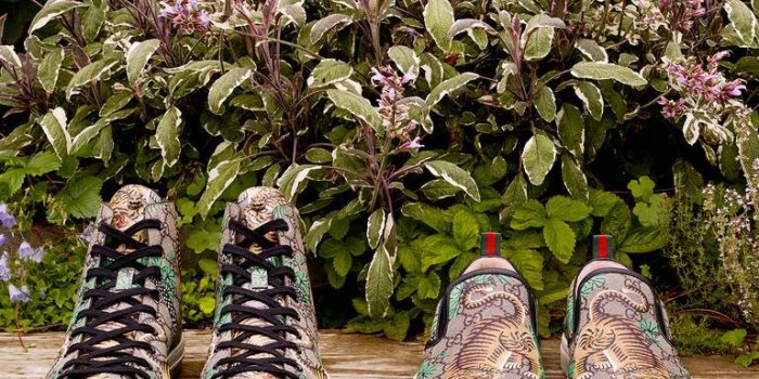 768x1075 Gucci Bengal - Gucci Stories