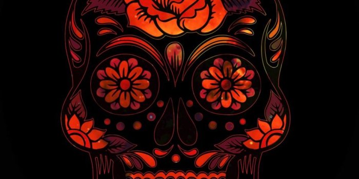 938x1668 Download wallpaper 938x1668 skull, glitter, patterns, art, dark
