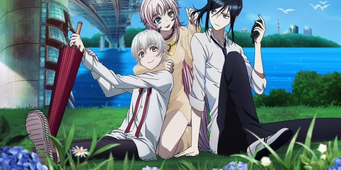 2560x1600 K Anime wallpaper of Neko, Kuroh, and Yashiro | Anime | K project, K