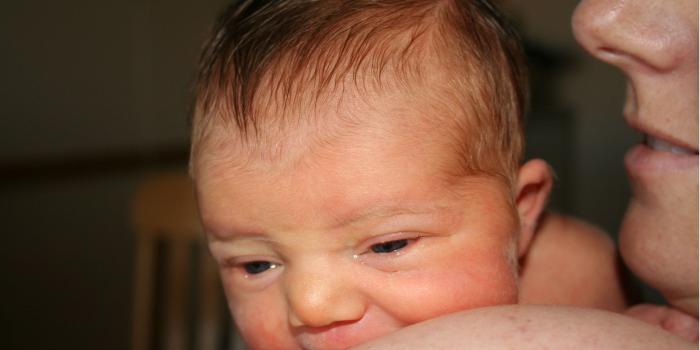 1920x1080 Full XML Website V3