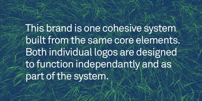 1600x900 See Pest and Lawn