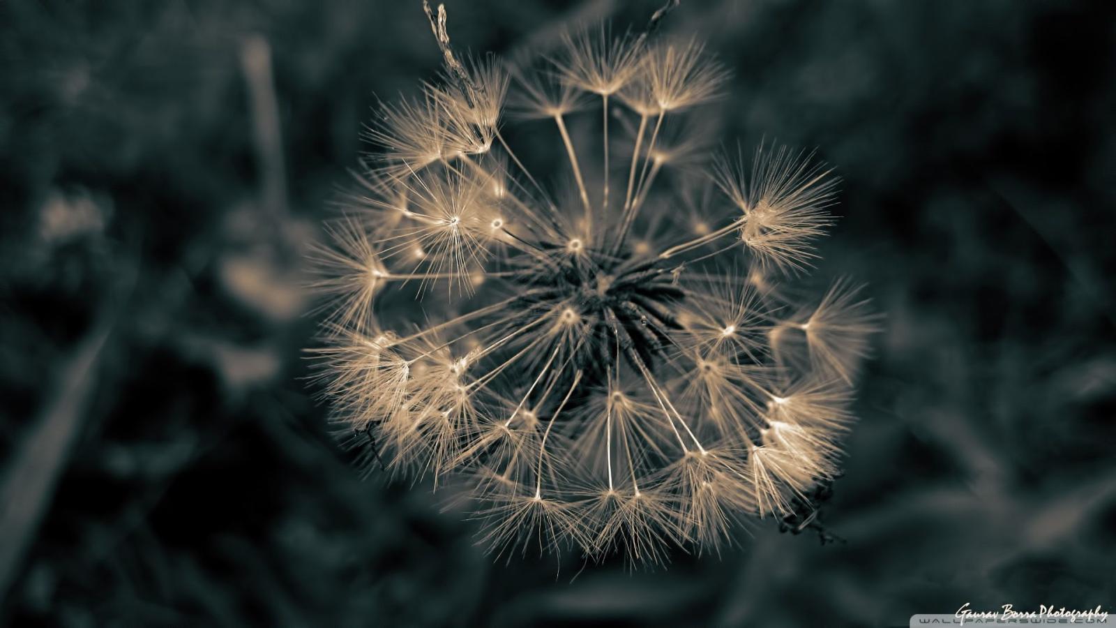 1920x1080 Lone Survivor ❤ 4K HD Desktop Wallpaper for 4K Ultra HD TV • Tablet