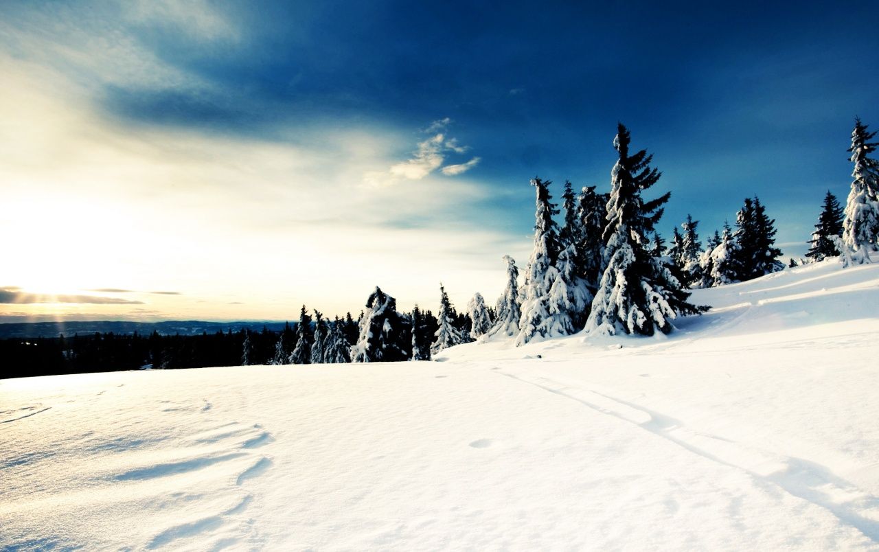 1280x804 Sunny Winter Day wallpapers | Sunny Winter Day stock photos