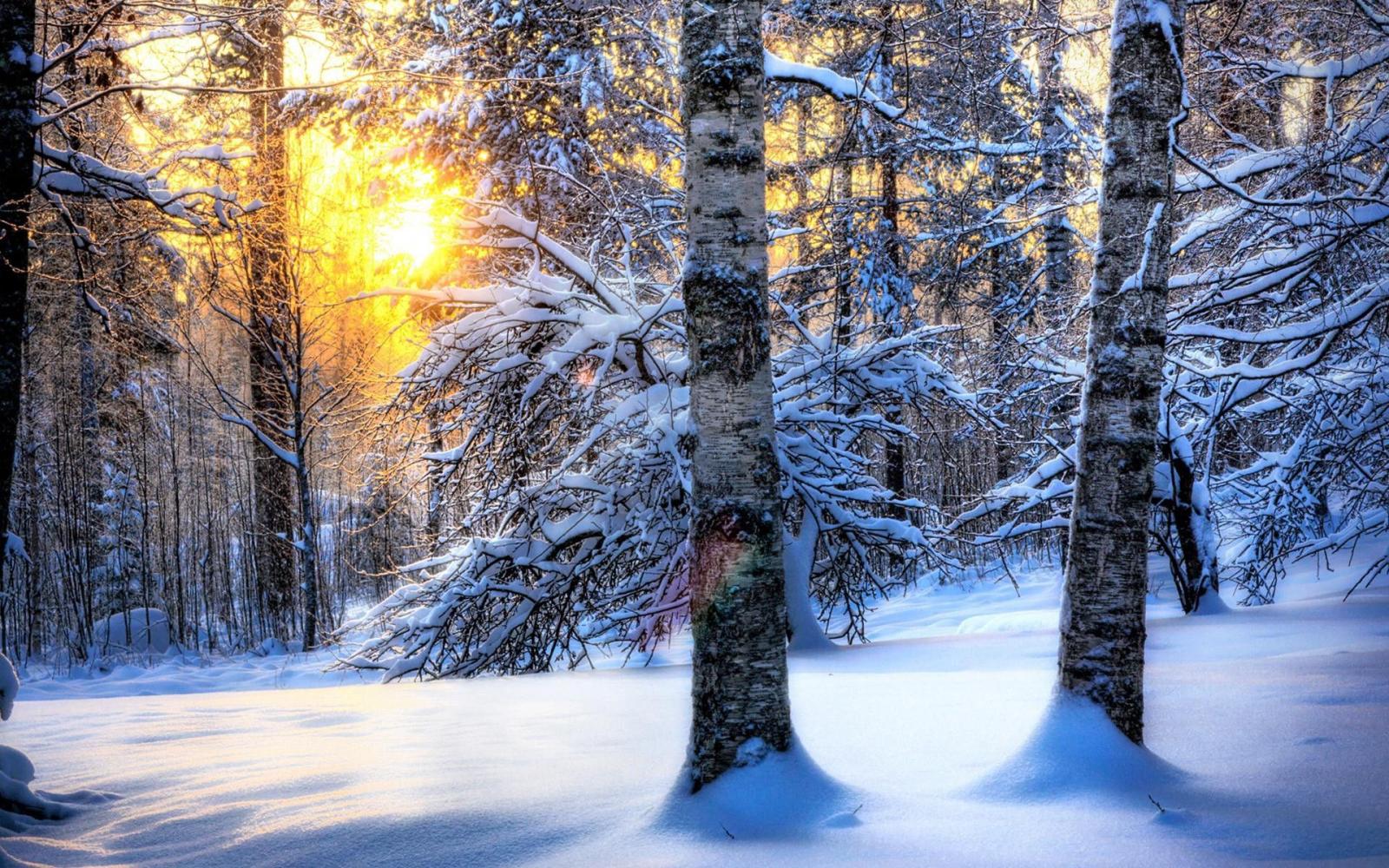 1920x1200 Winter Sunshine widescreen wallpaper