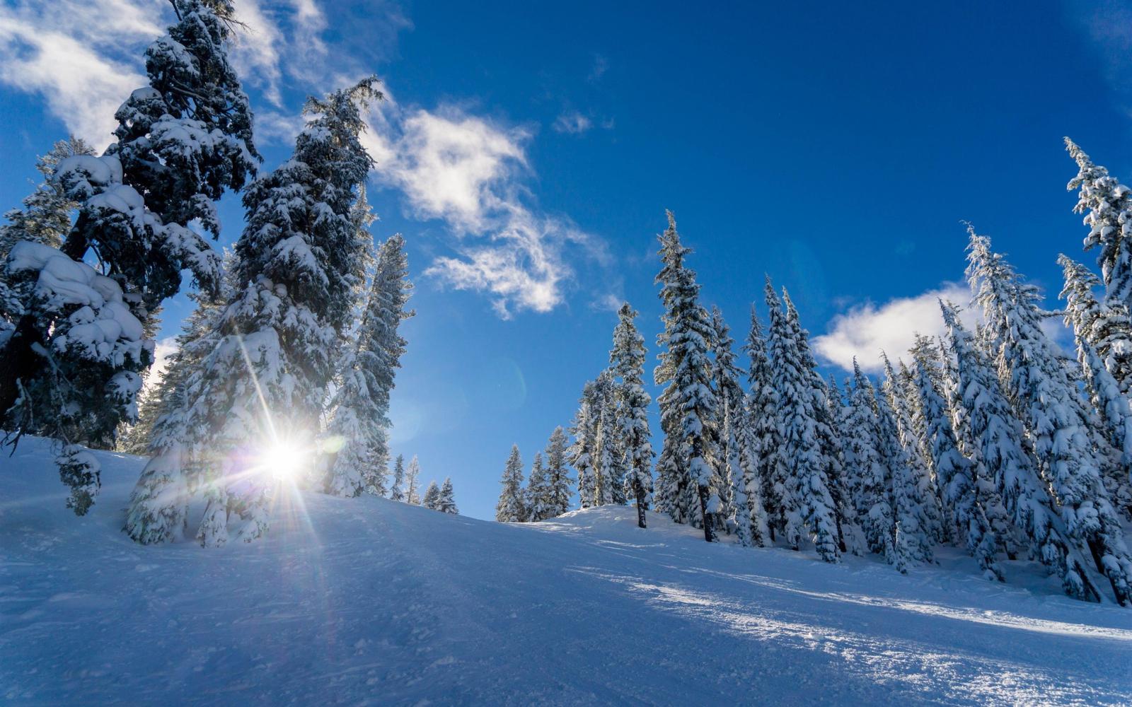 2560x1600 Wallpaper Winter, thick snow, trees, sunshine 3840x2160 UHD 4K