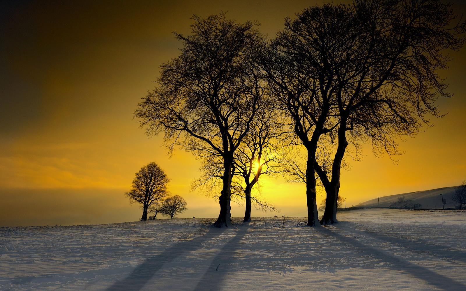 2880x1800 Winter sunshine glow wallpaper | 2880x1800 | #32540
