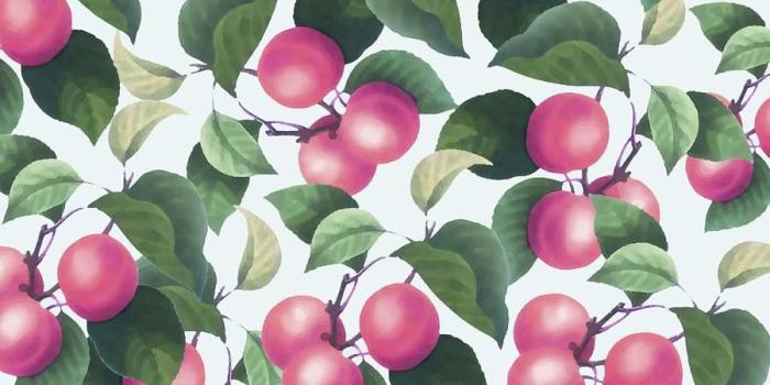 900x900 Tropical Fruit Removable Wallpaper